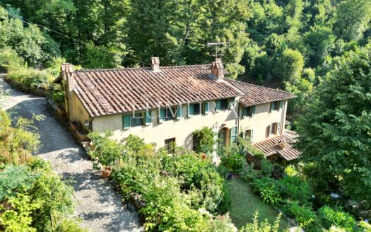 Magical Tuscan Hamlet with 14 Hectares near Lucca