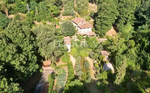 Magical Tuscan Hamlet with 14 Hectares near Lucca