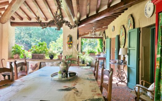 Magical Tuscan Hamlet with 14 Hectares near Lucca