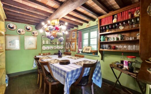 Magical Tuscan Hamlet with 14 Hectares near Lucca