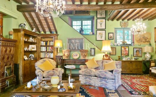 Magical Tuscan Hamlet with 14 Hectares near Lucca