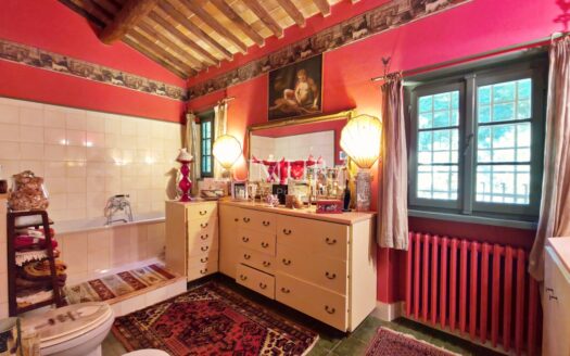 Magical Tuscan Hamlet with 14 Hectares near Lucca