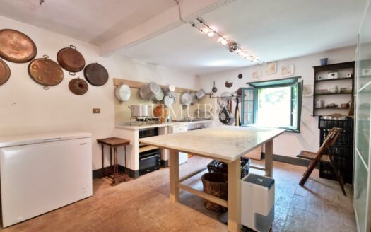 Magical Tuscan Hamlet with 14 Hectares near Lucca