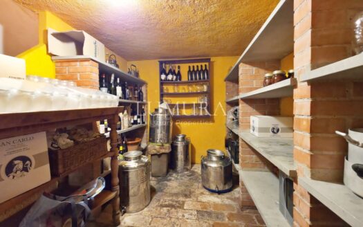 Magical Tuscan Hamlet with 14 Hectares near Lucca