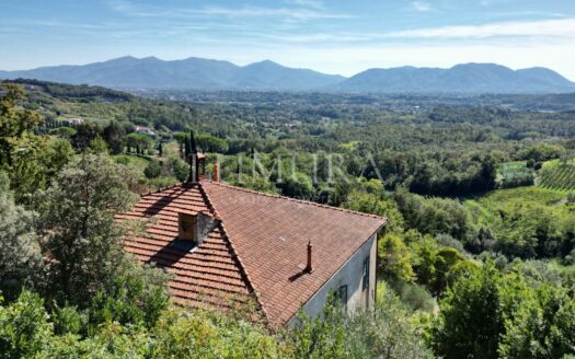 Historic and Panoramic Villa to be Renovated
