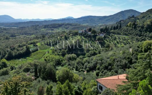 Historic and Panoramic Villa to be Renovated