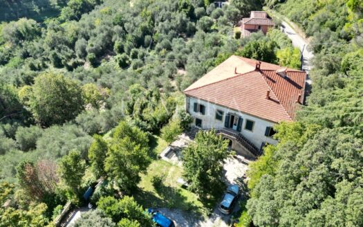 Historic and Panoramic Villa to be Renovated