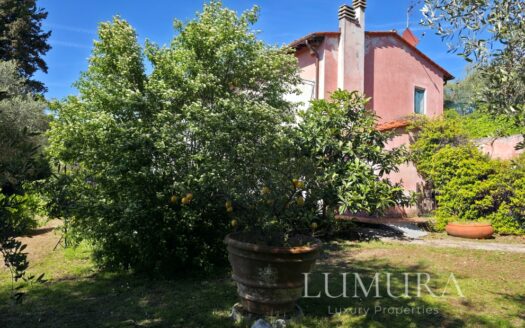 Country House with Pool 20 min from Lucca