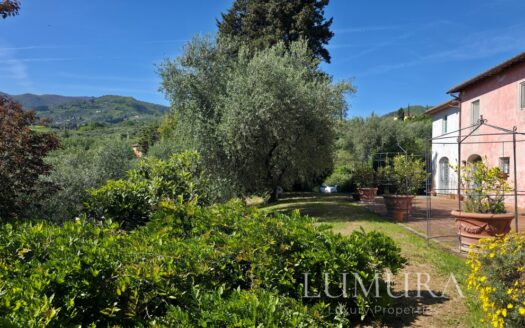 Country House with Pool 20 min from Lucca