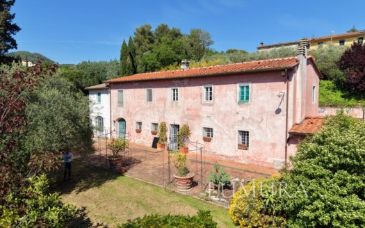 Country House with Pool 20 min from Lucca