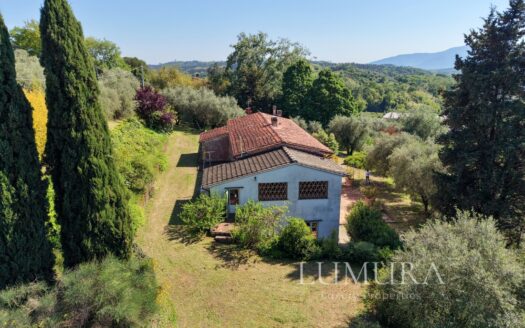 Country House with Pool 20 min from Lucca