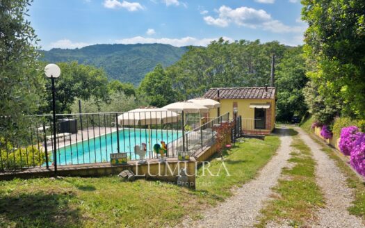 Small Farmhouse with 45 hectares of woods