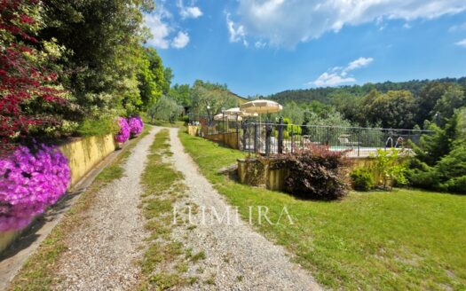 Small Farmhouse with 45 hectares of woods