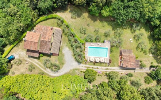 Small Farmhouse with 45 hectares of woods