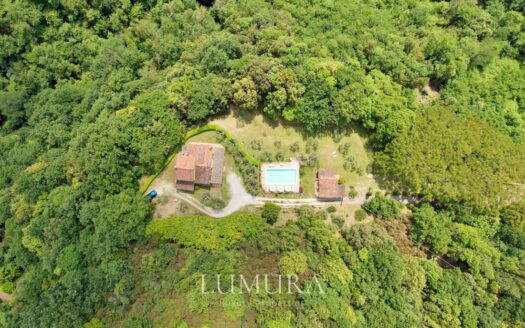 Small Farmhouse with 45 hectares of woods