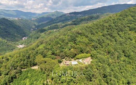 Small Farmhouse with 45 hectares of woods