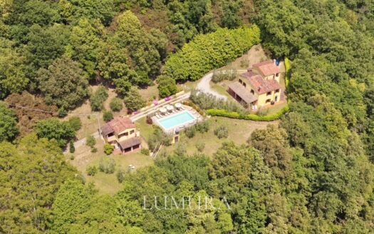 Small Farmhouse with 45 hectares of woods