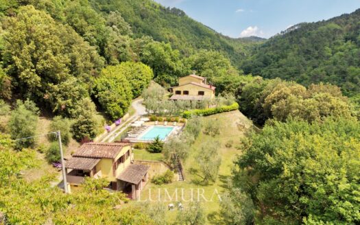 Small Farmhouse with 45 hectares of woods