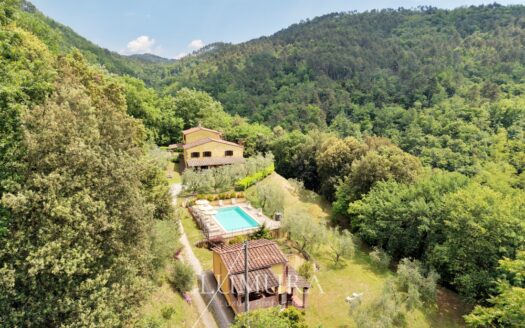 Small Farmhouse with 45 hectares of woods