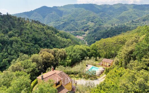 Small Farmhouse with 45 hectares of woods