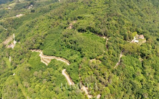 Small Farmhouse with 45 hectares of woods
