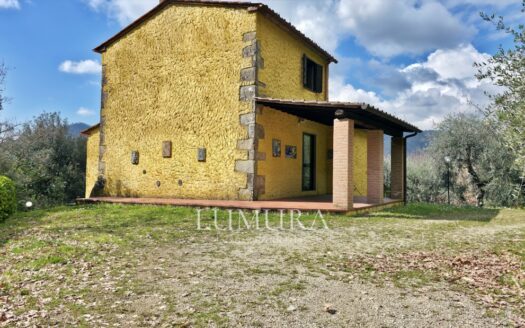 Small Farmhouse with 45 hectares of woods