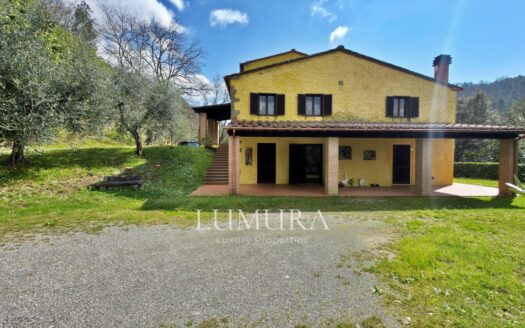 Small Farmhouse with 45 hectares of woods