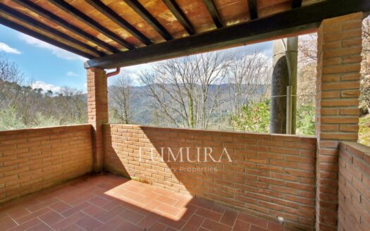 Small Farmhouse with 45 hectares of woods