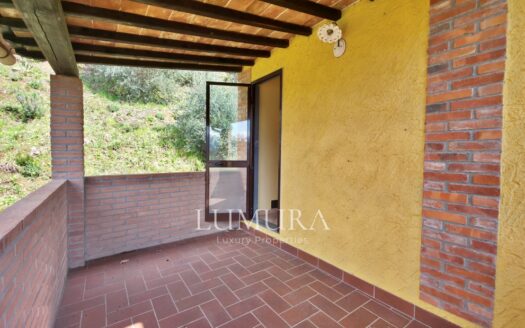 Small Farmhouse with 45 hectares of woods