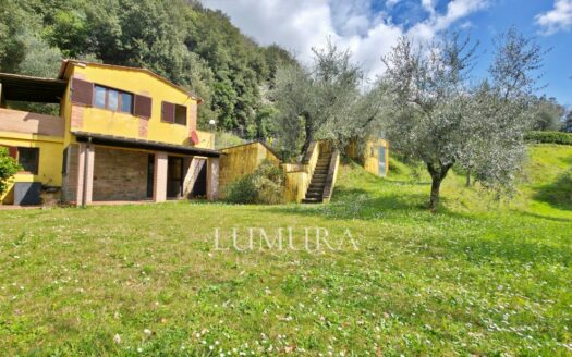 Small Farmhouse with 45 hectares of woods