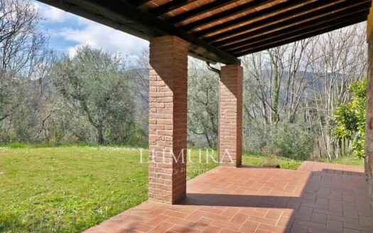 Small Farmhouse with 45 hectares of woods