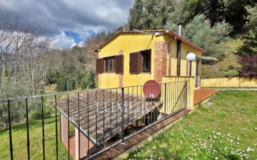 Small Farmhouse with 45 hectares of woods