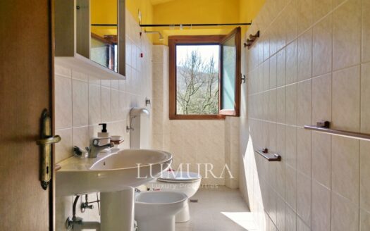 Small Farmhouse with 45 hectares of woods