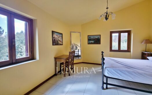 Small Farmhouse with 45 hectares of woods