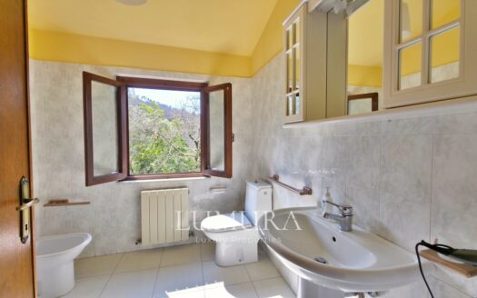Small Farmhouse with 45 hectares of woods
