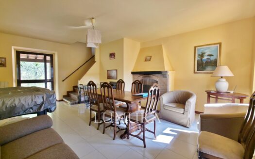 Small Farmhouse with 45 hectares of woods