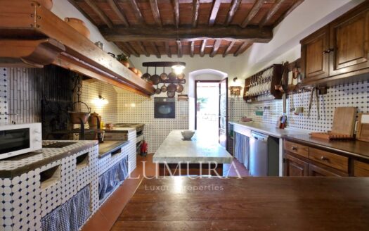 Hilltop Country House in Massarosa