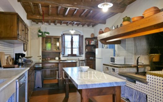 Hilltop Country House in Massarosa