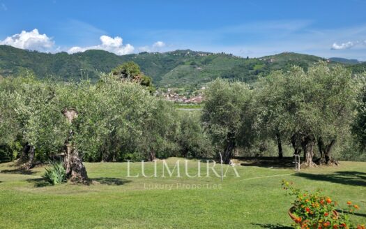Hilltop Country House in Massarosa