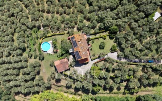 Hilltop Country House in Massarosa