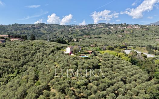 Hilltop Country House in Massarosa