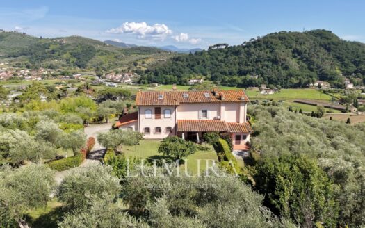 Hilltop Country House in Massarosa