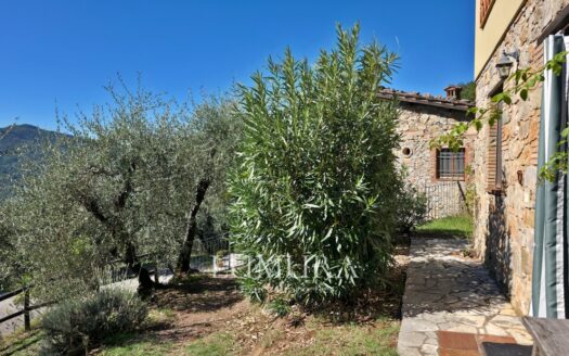 Two Renovated Stone Buildings with Pool
