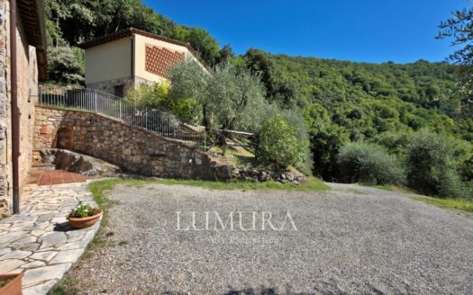 Two Renovated Stone Buildings with Pool