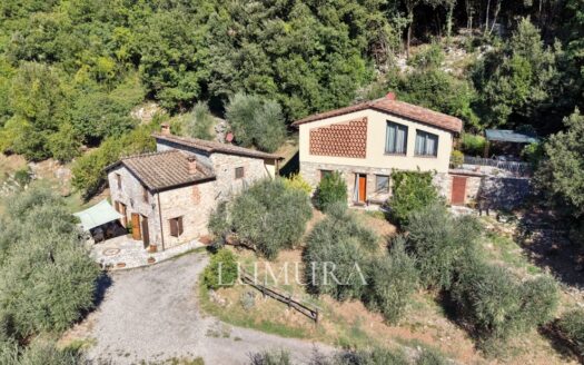 Two Renovated Stone Buildings with Pool