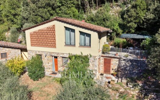 Two Renovated Stone Buildings with Pool