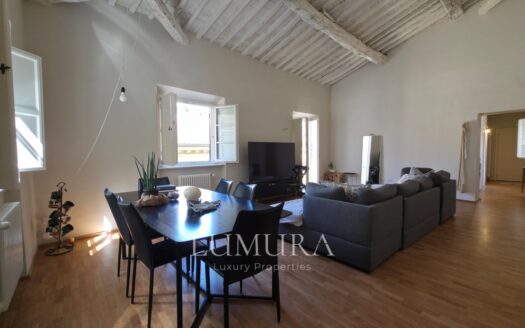 Top floor Aparment in the Center of Lucca