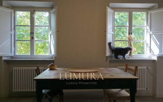 Top floor Aparment in the Center of Lucca