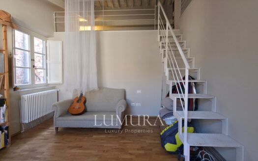 Top floor Aparment in the Center of Lucca
