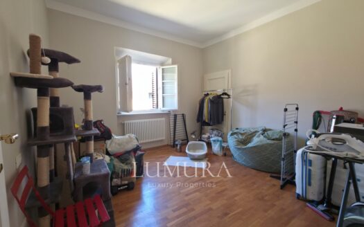 Top floor Aparment in the Center of Lucca